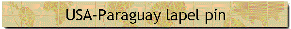 USA-Paraguay lapel pin